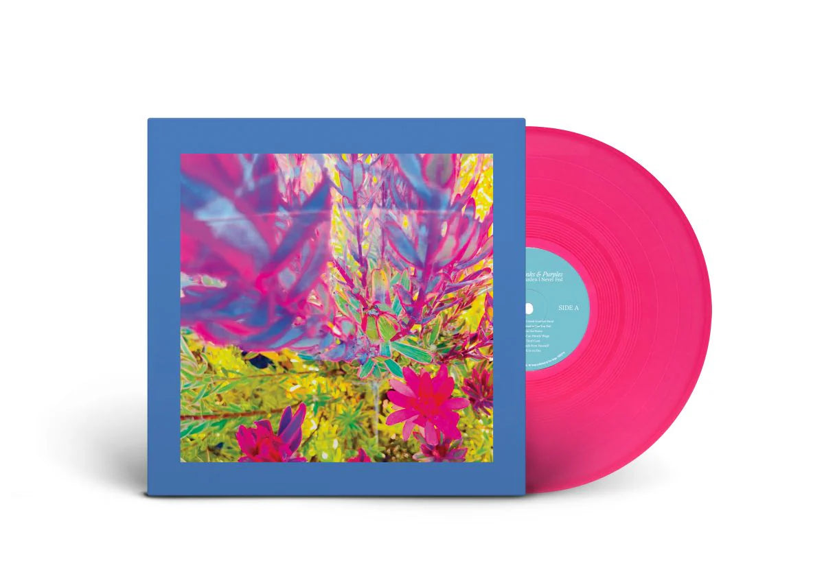 REDS PINKS AND PURPLES - THE PAST IS A GARDEN I NEVER FED - PINK COLOR - VINYL LP