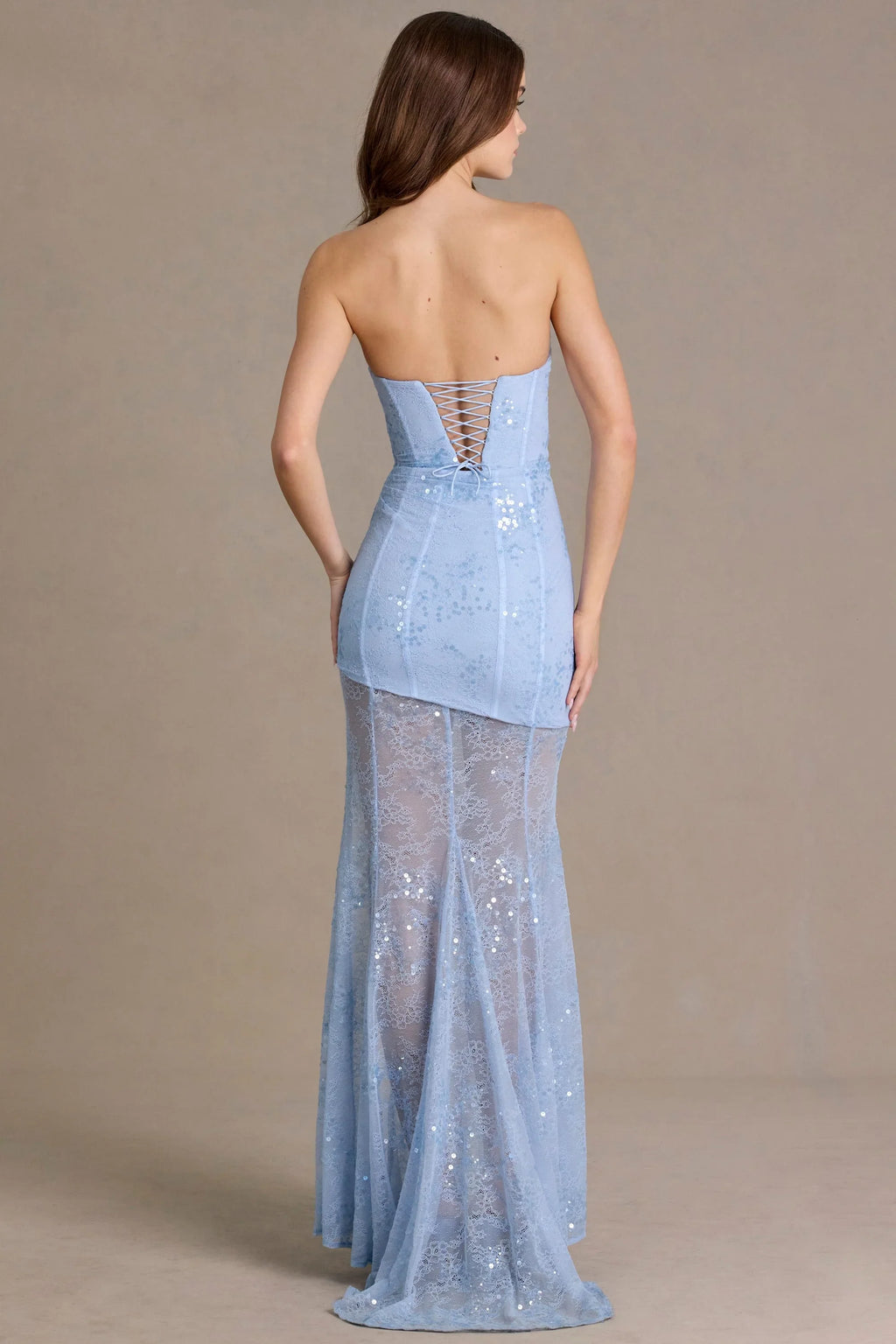 Embellished Lace Corset Gown in Sky Blue