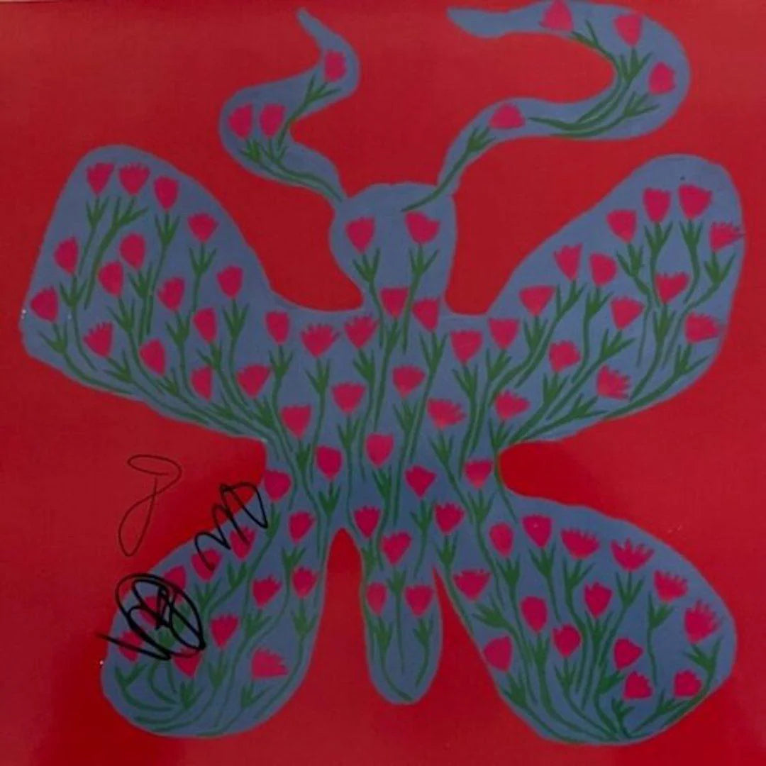 Blue Skies Dehd- Signed Album